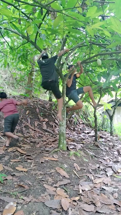 g4lak b4nget yg punya pohonnya#comedy #funny #ngakak #lucu #komedi #apkcendol