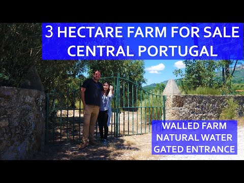 CHEAP 3 HECTARE WALLED FARM FOR SALE - CENTRAL PORTUGAL BARGAIN HOMESTEAD REAL ESTATE