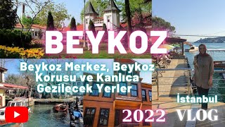 Beykoz Gezilecek Yerler Vlog 2022-Beykoz Korusu, Kanlıca#gezivlog#beykoz#kanlıca#gezilecekyerler