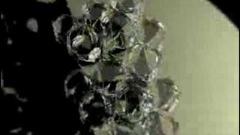 minimal surfaces by tombaber.com