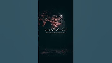✨يسمع آيات الله تتلى عليه-سورة الجاثية-ياسر الدوسري #ارح_قلبك #قران_كريم #حالات_واتس ❤️‍🩹🌿 #اكسبلور