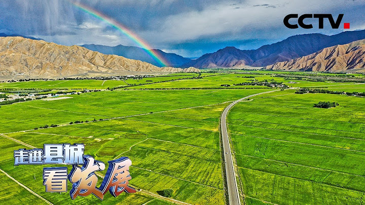 作為孕育青稞新品的搖籃 白朗實現種糧大縣向良種大縣的跨越 | CCTV「走進縣城看發展」 - 天天要聞
