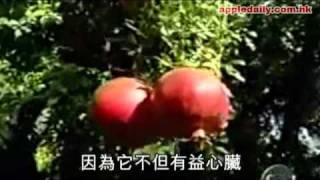 蘋果日報 - 20101003 - 飲石榴汁踢走士啤胎