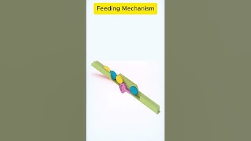Feeding Mechanism #solidworks #cad #engineering #fusion360 #mechanical #mechanism