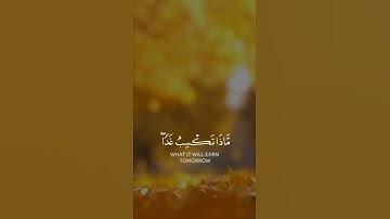 إن الله عنده علم الساعة وينزل الغيث ويعلم ما في الأرحام | سورة لقمان | القارئ شريف مصطفى