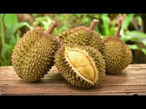 Os 10 Benefícios da Durian Para Saúde | Dicas de Saúde