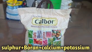 Calbor aries agro|Calbor|aries agro calbor| sulphur+boran+calcium+pottassium+magnesium|calbor price| screenshot 5