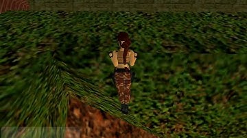 The Ledge Bug Tutorial