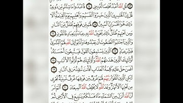تلاوة من سورة الزمر  من الآية 11 إلى الآية 18