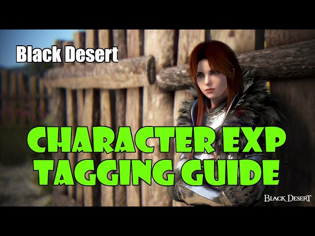 [Black Desert] EXP Tagging Character Tag System  Guide | Level Up Two Characters at Once! class=