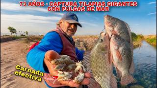 "¡Increíble! Pescador de 73 AÑOS atrapa TILAPIAS ENORMES con MUYMUYS (Pulga de Mar)"