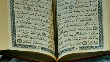 سورة الأحقاف برواية ورش/ للقارئ محمد سايد