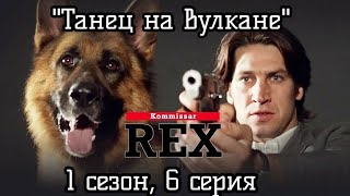 Комиссар Рекс, 1 сезон, 6 серия (