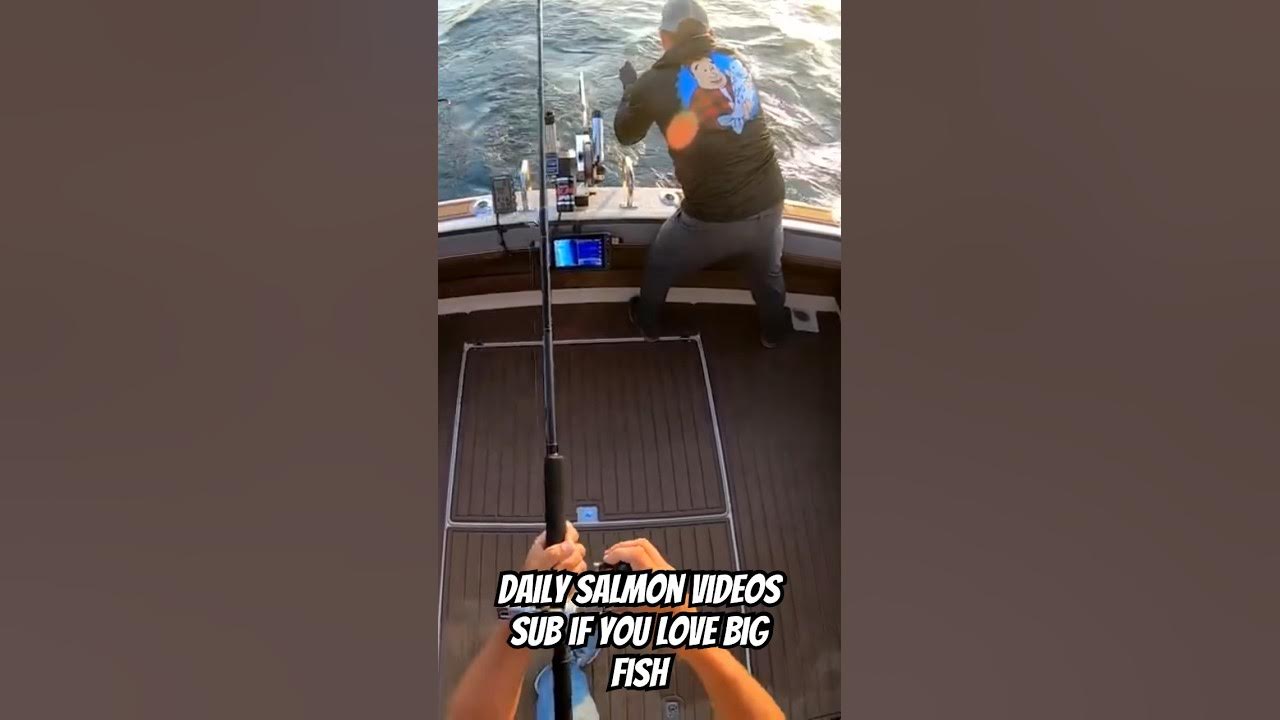 Dipsy Diver and Big Lake Trout bigfish fishing bigsalmon steelhead