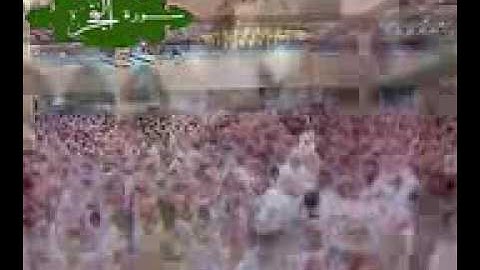خاشعة و مبكية آخر سورة الفجر @القطامي @