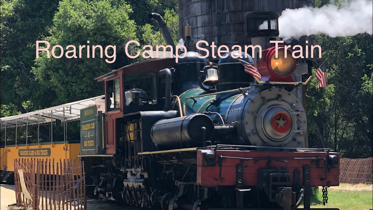 [4k] Roaring Camp Redwood Forest Steam Train Felton Santa Cruz