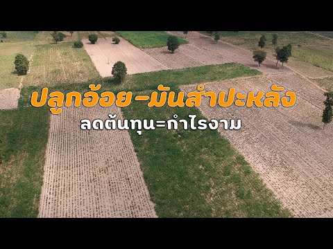 เกษตรพันไร่ ลดใช้สารเคมีได้อย่างไร