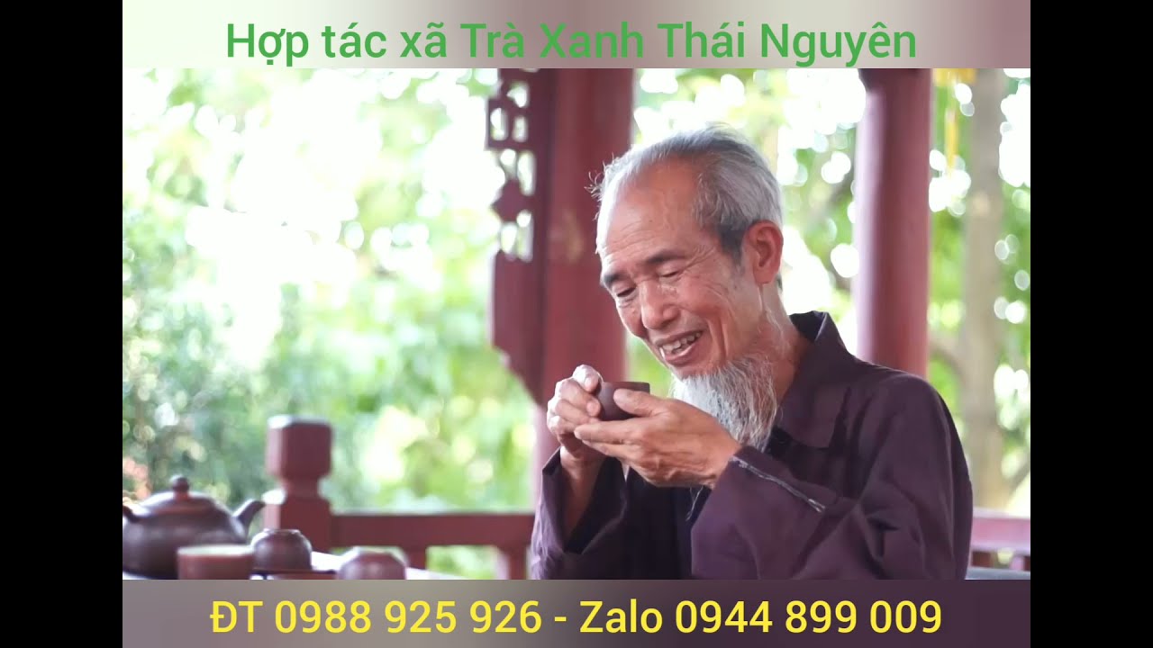 Top 10 giá chè tôm nõn Thái Nguyên ngon nhất 2023