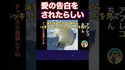 おもしろ動物アフレコちゃん Youtube