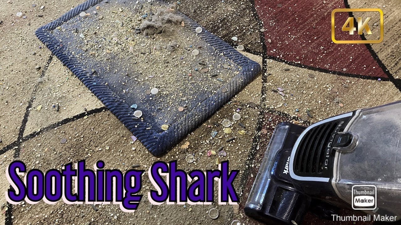 Shark Navigator || Soothing Mess Test 😌