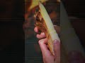 Why Bamboo Shoots Are China’s Secret Superfood 🎋🍲#china #chinesefood #shorts