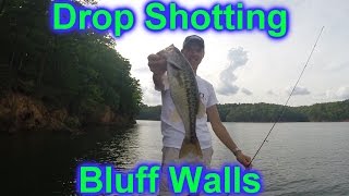 Drop Shotting Bluff Walls (HOW TO) on Lake Allatoona