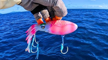 Fishing Whitsundays on the Great Barrier Reef with Nomad Squidtrex Lures