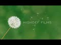 Hig.ef films logo collection