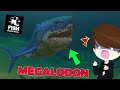 Kehidupan Raja Lautan MEGALODON - Fish Feed And Grow