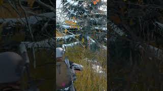 На доверие #dayz #shorts #sea #seadayz
