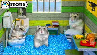 🐹 Hamster Escapes the Alcatraz Prison Maze for Pets in real life 🐹 Homura Ham Pets