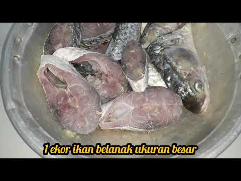 Video: Cara Memasak Mullet Bakar