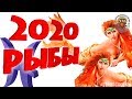 Гороскоп на 2020 год Рыбы: гороскоп для знака Зодиака Рыбы на 2020 год