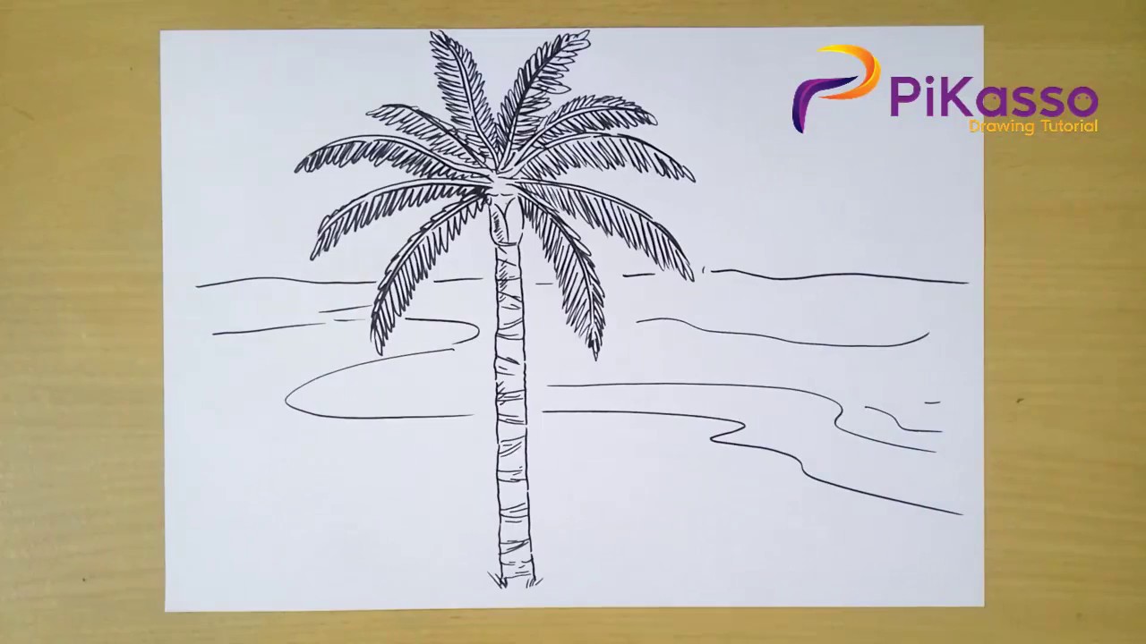 How to Draw a Palm Tree step by step easy - YouTube