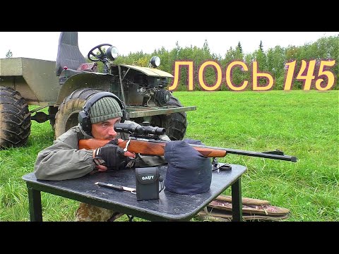 МОШКА ГРЫЗЁТ, А Я ВСЁ РАВНО ПОПАДАЮ В ЦЕЛЬ! КАРАБИН ЛОСЬ 145 / ПРИСТРЕЛКА ЗАГОННИКА НА 50-100 МЕТРОВ