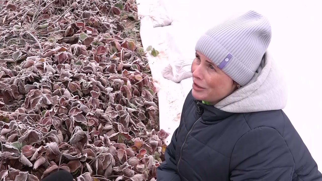 Плюс Вы 23 11 2021