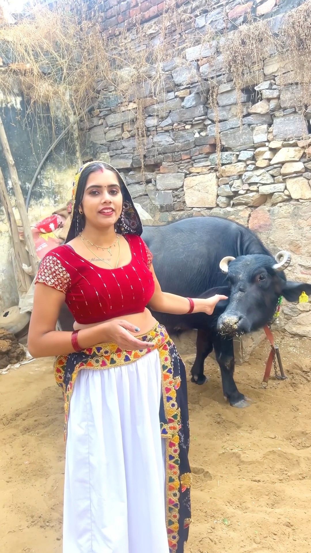 ये भेस है देख लो आजाओ ले जाओ ?#shorts #trending #meenu #ytshorts