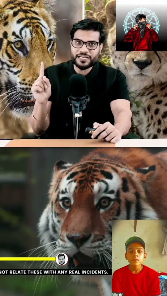  ytshortsvideo 