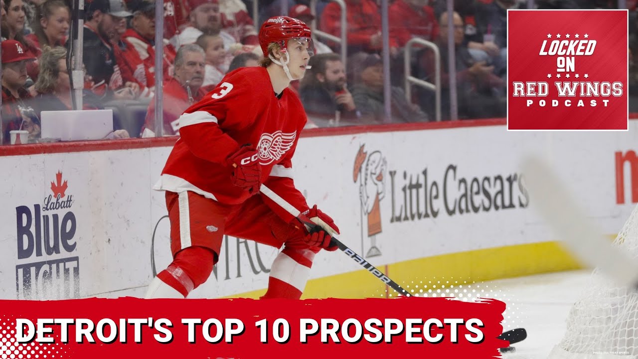 Detroit Red Wings Draft Picks: Which 3 players will be the best