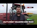 Ahlat'ta buğday tarlalarında gübre mesaisi