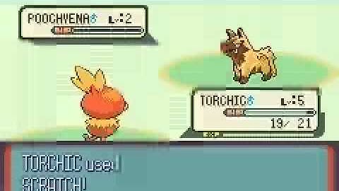 shiny poochyena when SR