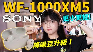 SONY WF-1000XM5：降噪豆5首發體驗！2年不見索尼終於瘦了🤩然而代價是🤔️｜大狸子切切裡