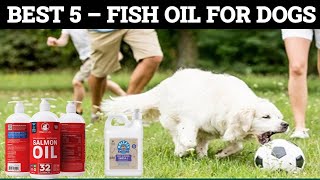 Top 5 Best Fish Oil for Dogs Reviews  2024