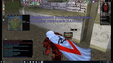 Dark Age of Camelot :   Snowdog (Panacea) vs Natebruner