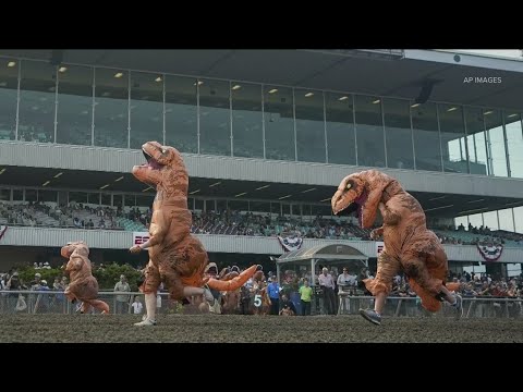 Washington runners take to the race track for a hilarious dinosaur race