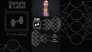 Encoding Labels for Networks 🏷️ - Supervised Learning Prep 📘 - Topic 201 #ai #ml