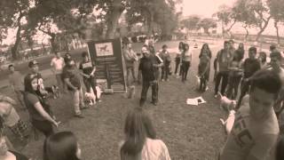 Reunion 13122015 Bull Terrier Club Peruano