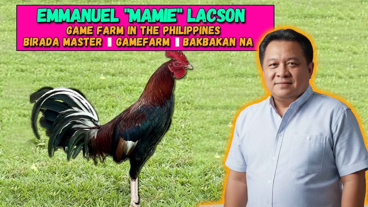 Emmanuel Lacson - gamefarm in the philippines