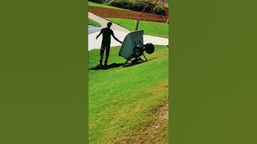 Funny Vdeo #shortvideo #comedy #viralvideo