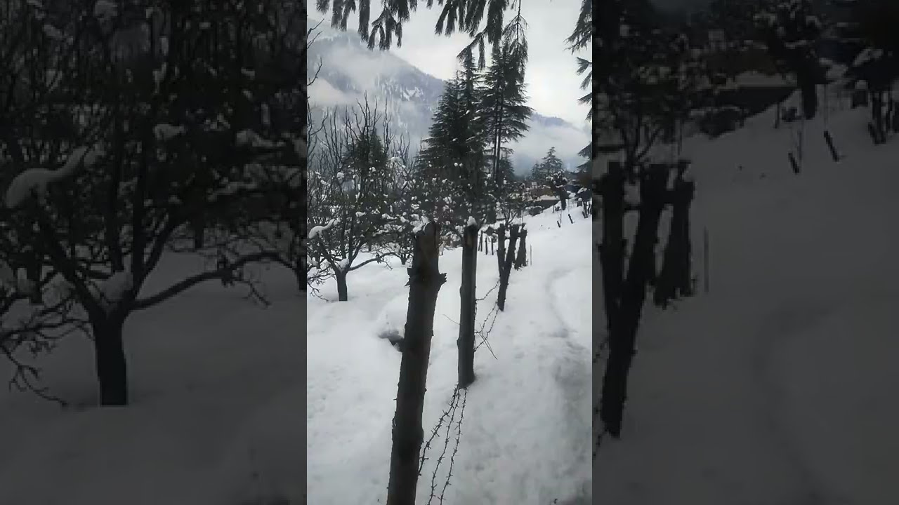 Lamadugh Trek Near Manali 